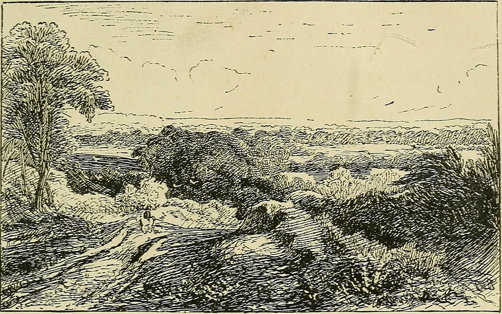An illustration from Pictures at South Kensington : the Raphael cartoons, the Sheepshanks collection, &c., 1877, leaf 66