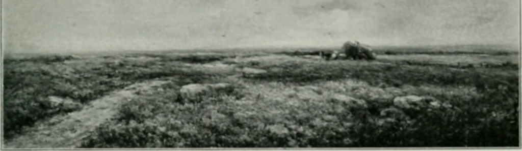 An illustration from The Pictures of 1909. Pall Mall Magazine extra, May 1909, 1909, leaf 110