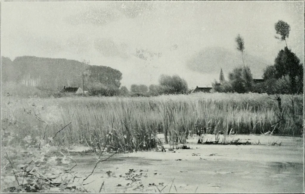 An illustration from The Pictures of 1909. Pall Mall Magazine extra, May 1909, 1909, leaf 115