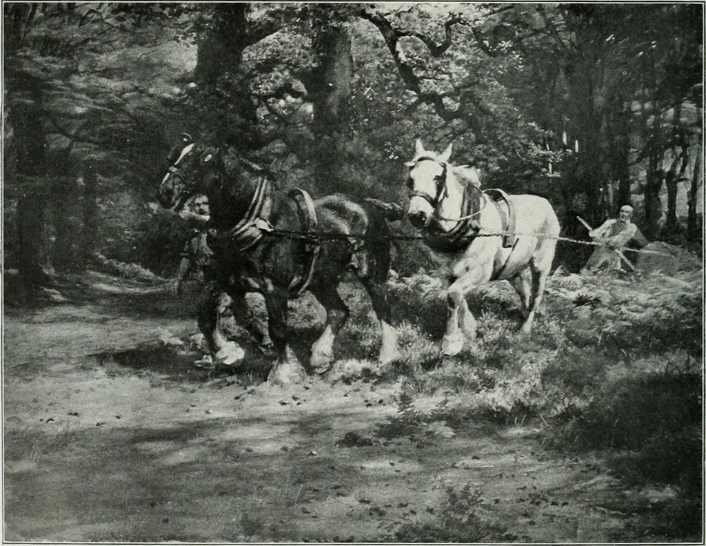 An illustration from The Pictures of 1909. Pall Mall Magazine extra, May 1909, 1909, leaf 123