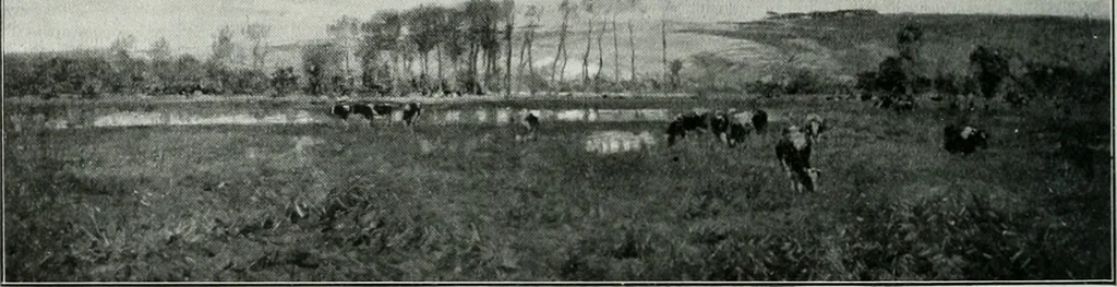 An illustration from The Pictures of 1909. Pall Mall Magazine extra, May 1909, 1909, leaf 141