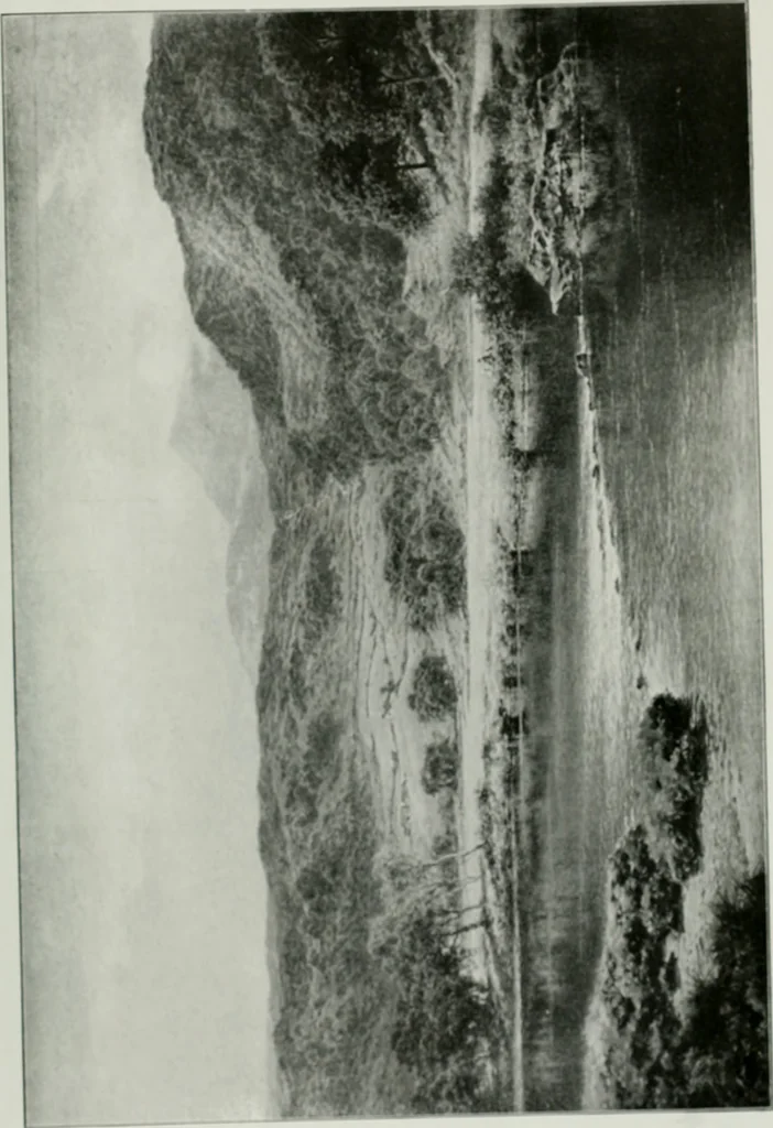 An illustration from The Pictures of 1909. Pall Mall Magazine extra, May 1909, 1909, leaf 144
