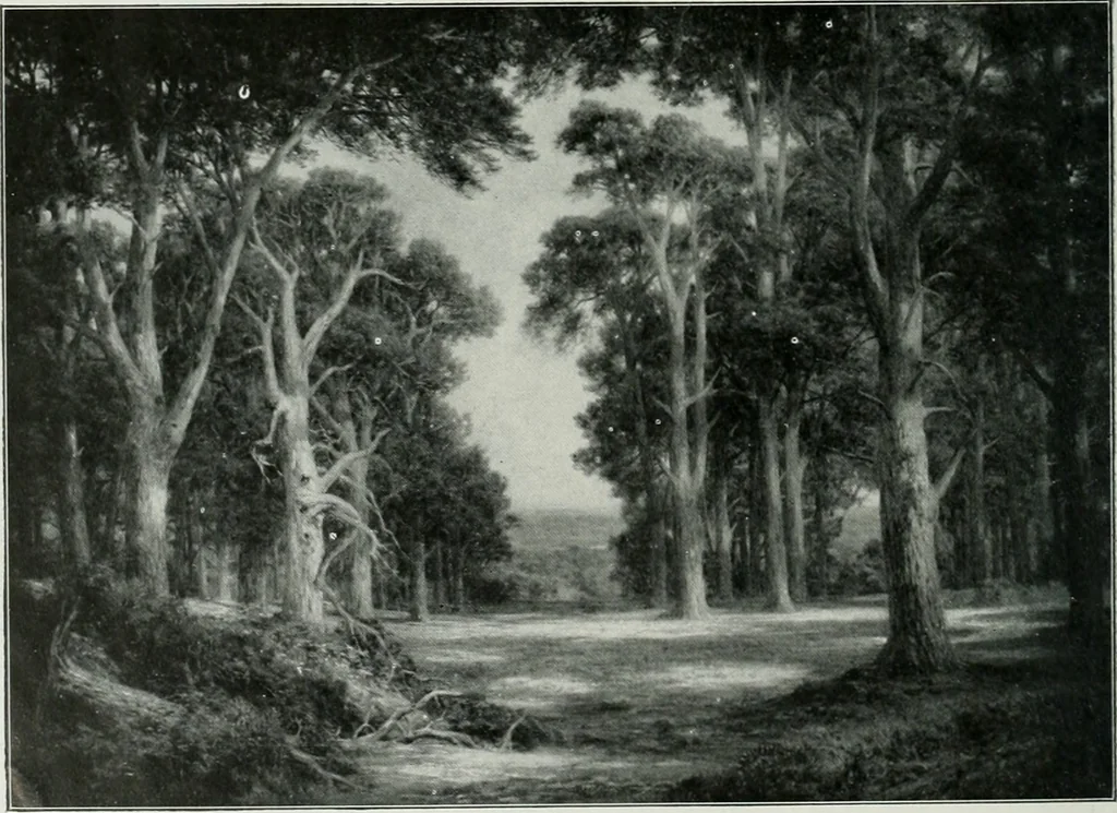 An illustration from The Pictures of 1909. Pall Mall Magazine extra, May 1909, 1909, leaf 157