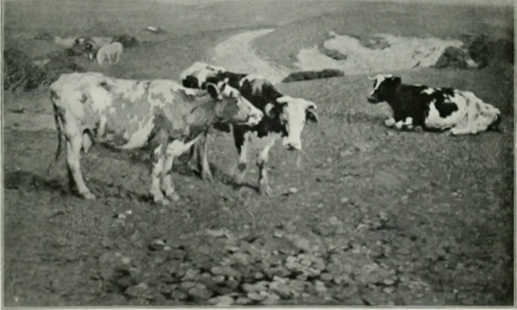 An illustration from The Pictures of 1909. Pall Mall Magazine extra, May 1909, 1909, leaf 176