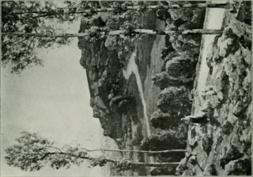 An illustration from The Pictures of 1909. Pall Mall Magazine extra, May 1909, 1909, leaf 182