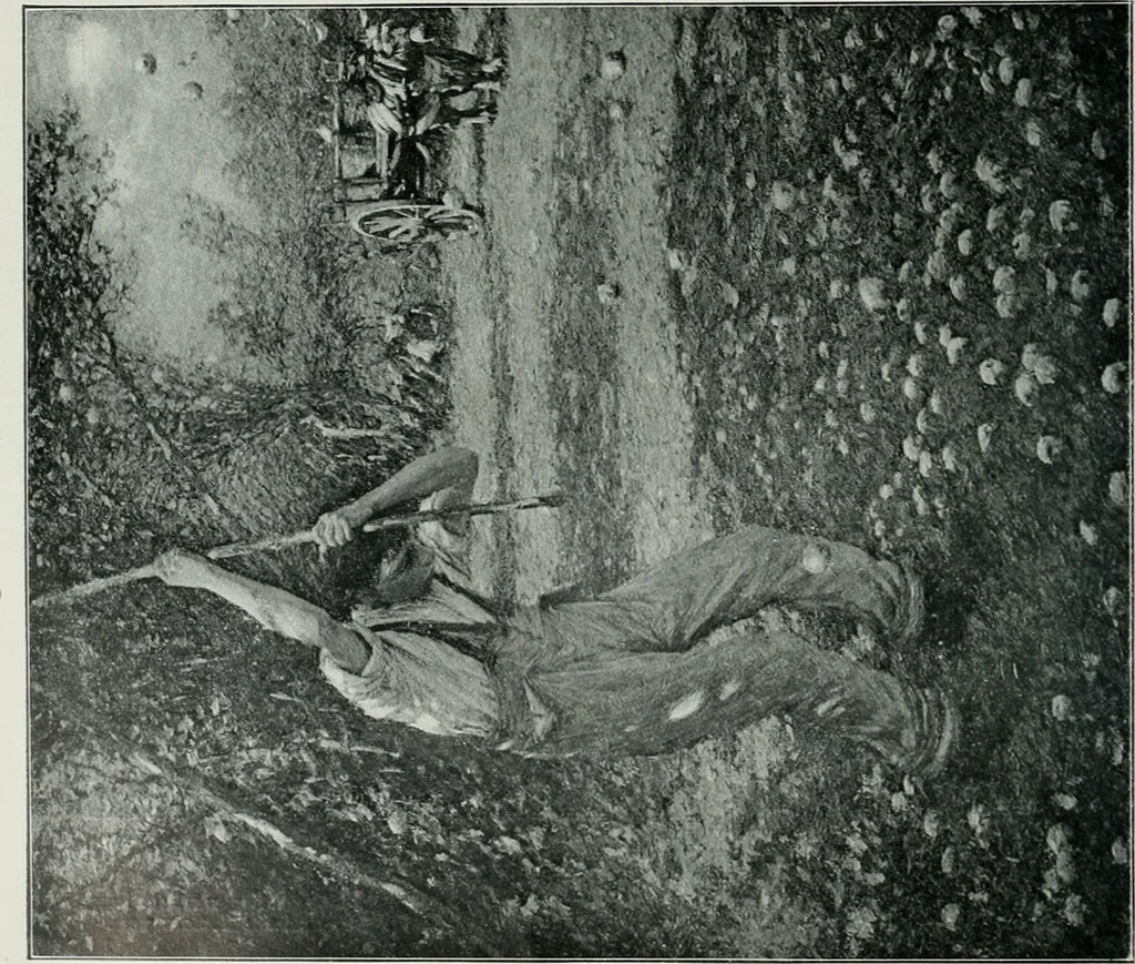 An illustration from The Pictures of 1909. Pall Mall Magazine extra, May 1909, 1909, leaf 61