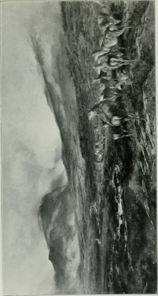 An illustration from The Pictures of 1909. Pall Mall Magazine extra, May 1909, 1909, leaf 82