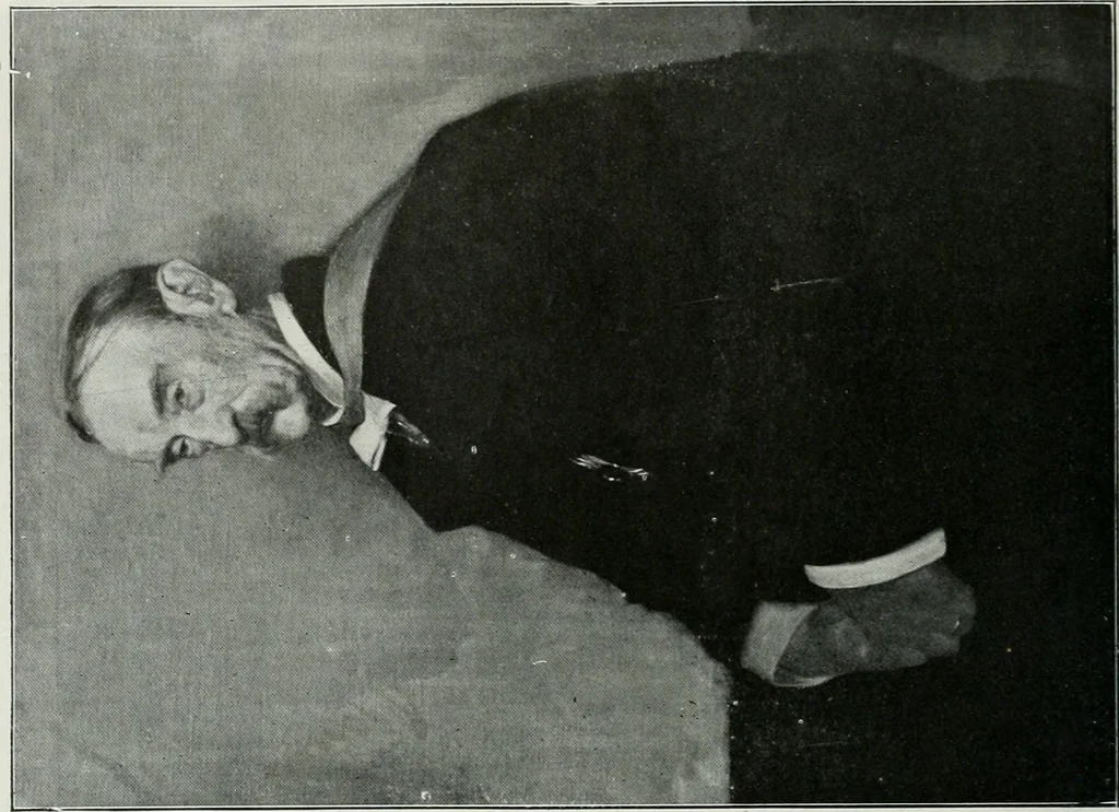An illustration from The Pictures of 1909. Pall Mall Magazine extra, May 1909, 1909, leaf 91