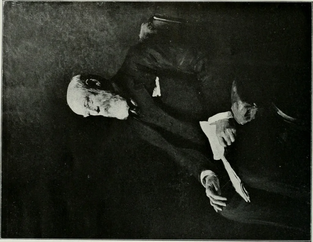 An illustration from The Pictures of 1909. Pall Mall Magazine extra, May 1909, 1909, leaf 97
