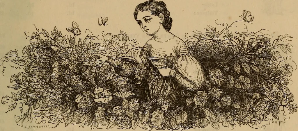An illustration from Pictures of the French: a series of literary and graphic delineations of French character, 1840, leaf 14