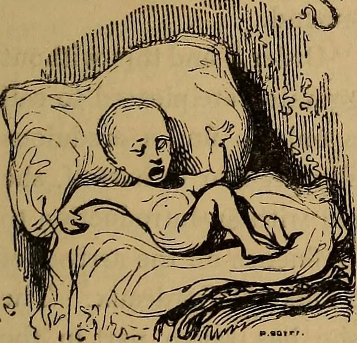 An illustration from Pictures of the French: a series of literary and graphic delineations of French character, 1840, leaf 196