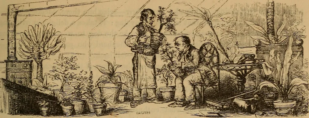 An illustration from Pictures of the French: a series of literary and graphic delineations of French character, 1840, leaf 208