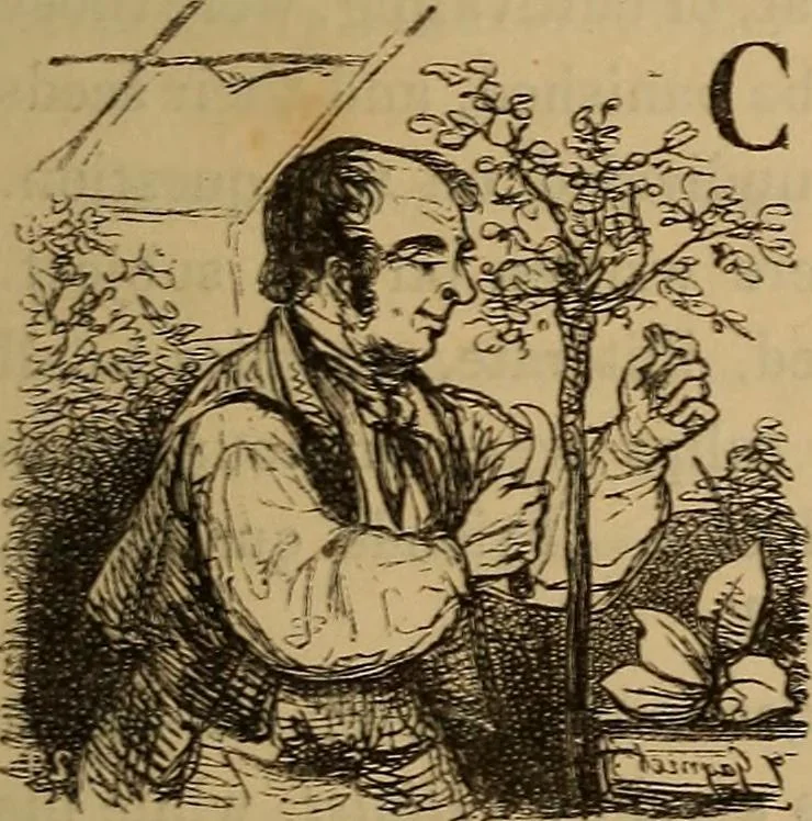 An illustration from Pictures of the French: a series of literary and graphic delineations of French character, 1840, leaf 208