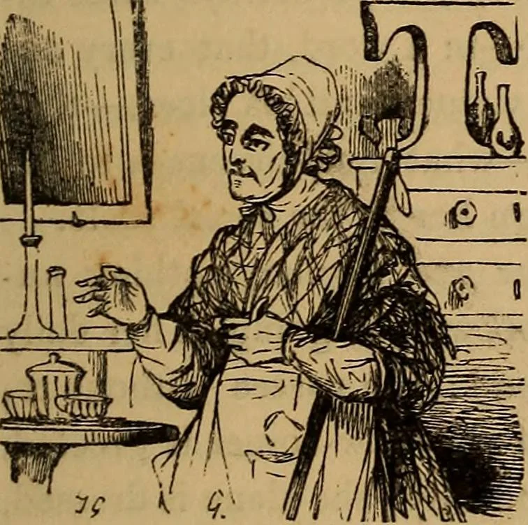 An illustration from Pictures of the French: a series of literary and graphic delineations of French character, 1840, leaf 422