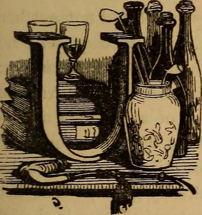 An illustration from Pictures of the French: a series of literary and graphic delineations of French character, 1840, leaf 70