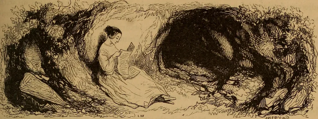 An illustration from Pictures of the French: a series of literary and graphic delineations of French character, 1840, leaf 82