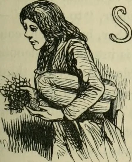 An illustration from Pictures of the French, a series of literary and graphic delineations of French character, 1840, leaf 102