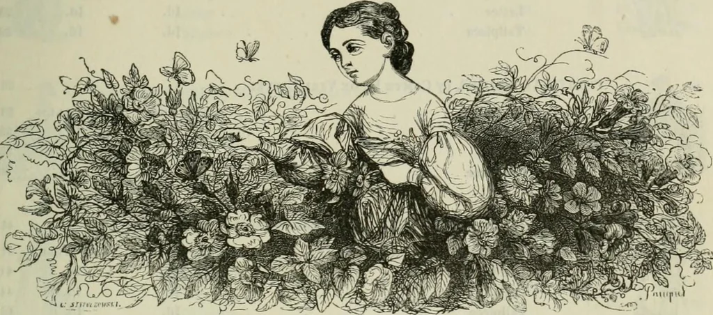 An illustration from Pictures of the French, a series of literary and graphic delineations of French character, 1840, leaf 12
