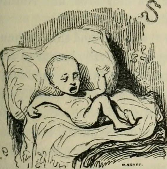 An illustration from Pictures of the French, a series of literary and graphic delineations of French character, 1840, leaf 170