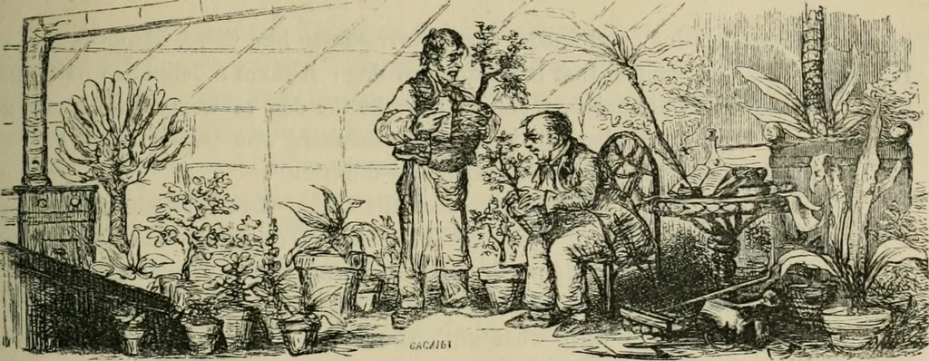 An illustration from Pictures of the French, a series of literary and graphic delineations of French character, 1840, leaf 184