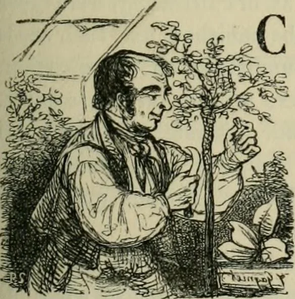 An illustration from Pictures of the French, a series of literary and graphic delineations of French character, 1840, leaf 184