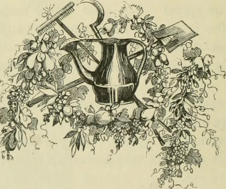 An illustration from Pictures of the French, a series of literary and graphic delineations of French character, 1840, leaf 189