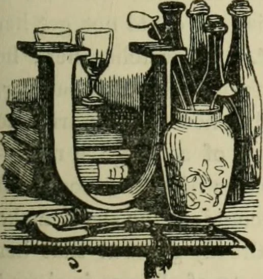 An illustration from Pictures of the French, a series of literary and graphic delineations of French character, 1840, leaf 62