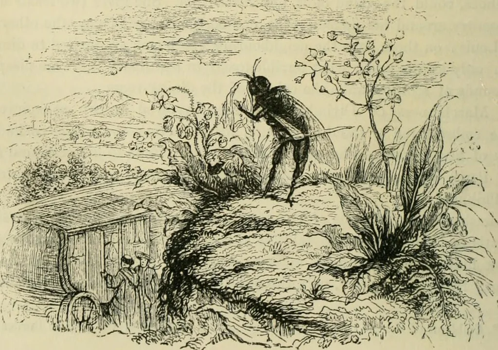 An illustration from Pictures of the French, a series of literary and graphic delineations of French character, 1840, leaf 79