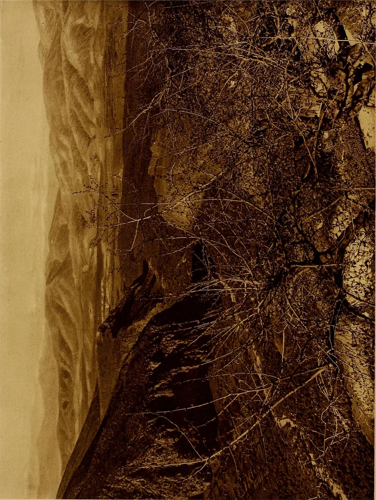 An illustration from ...Picturesque Greece architecture, landscape, life of the people, 1922, leaf 117
