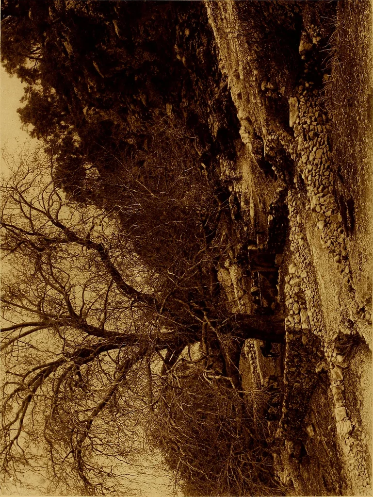 An illustration from ...Picturesque Greece architecture, landscape, life of the people, 1922, leaf 171
