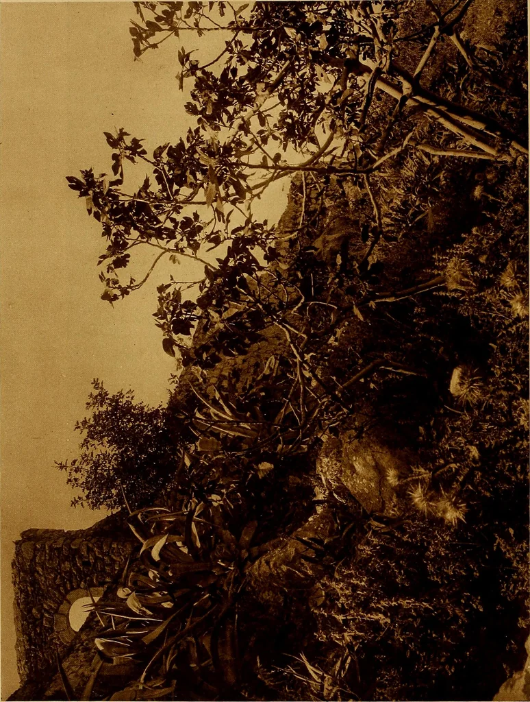 An illustration from ...Picturesque Greece architecture, landscape, life of the people, 1922, leaf 95