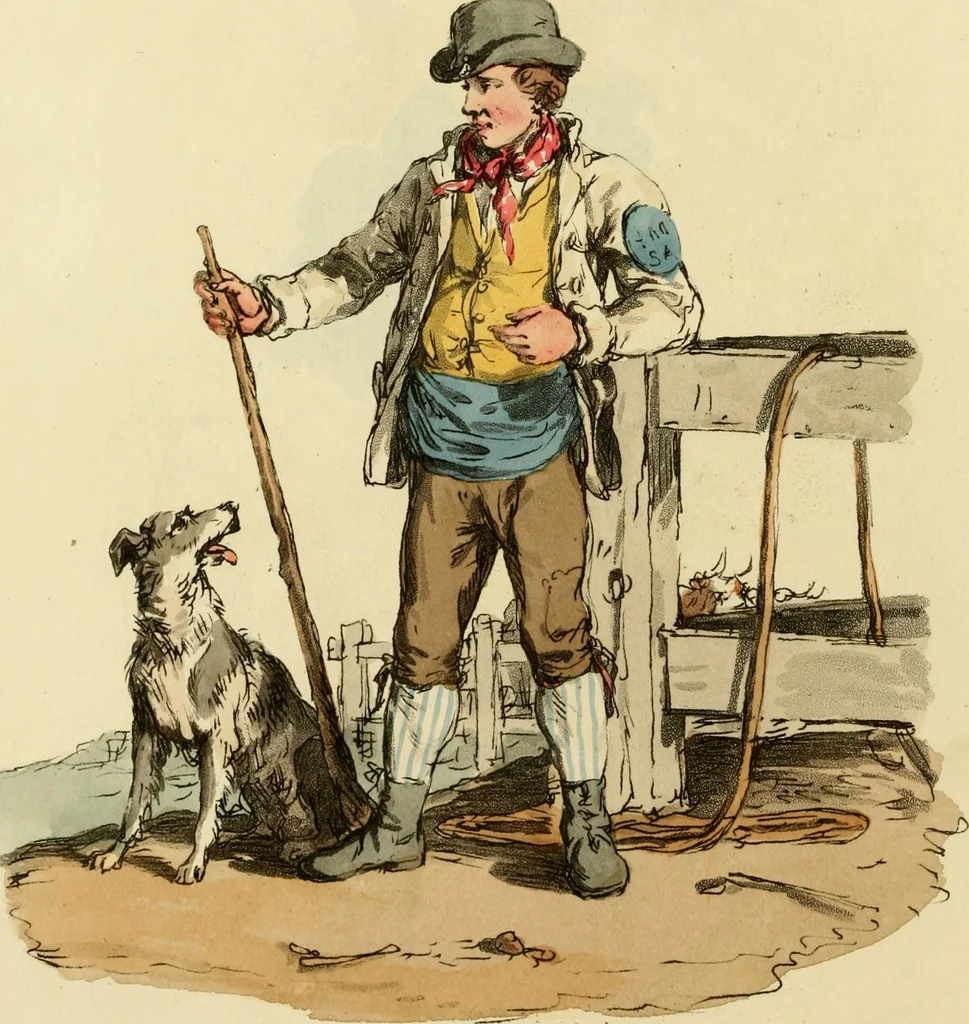 An illustration from Picturesque representations of the dress and manners of the English, 1813, leaf 71