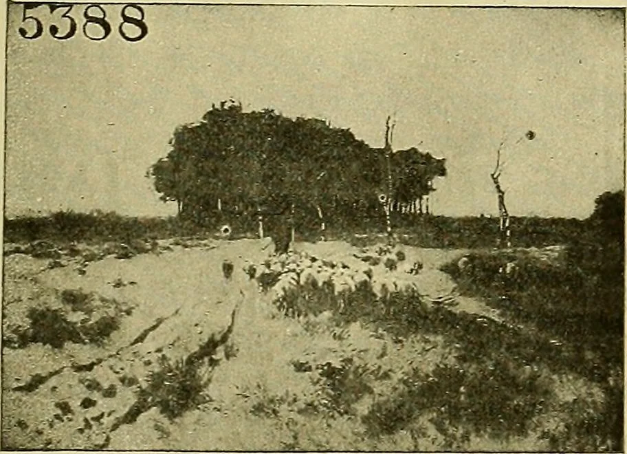 An illustration from Picture studies; studies of one hundred five of the world's famous pictures best adapted for use in the schools and for schoolroom decoration, 1917, leaf 12