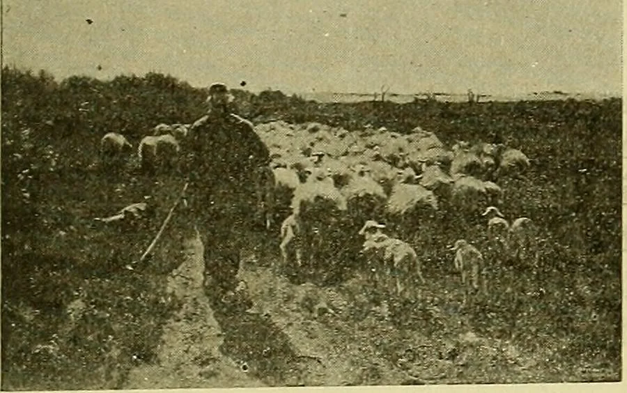 An illustration from Picture studies; studies of one hundred five of the world's famous pictures best adapted for use in the schools and for schoolroom decoration, 1917, leaf 124