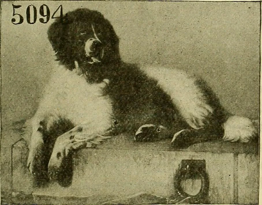 An illustration from Picture studies; studies of one hundred five of the world's famous pictures best adapted for use in the schools and for schoolroom decoration, 1917, leaf 128