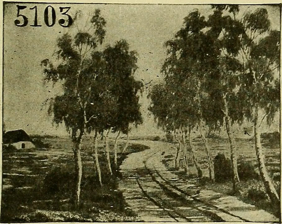 An illustration from Picture studies; studies of one hundred five of the world's famous pictures best adapted for use in the schools and for schoolroom decoration, 1917, leaf 148