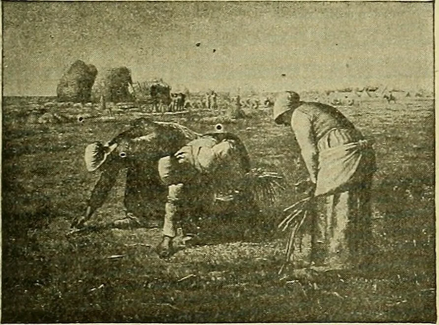 An illustration from Picture studies; studies of one hundred five of the world's famous pictures best adapted for use in the schools and for schoolroom decoration, 1917, leaf 164