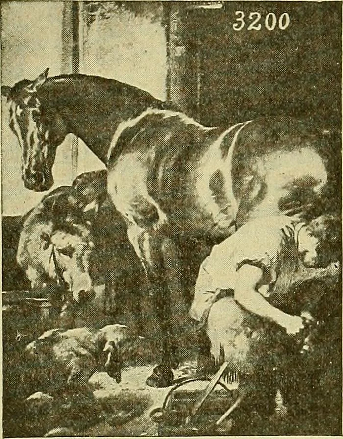 An illustration from Picture studies; studies of one hundred five of the world's famous pictures best adapted for use in the schools and for schoolroom decoration, 1917, leaf 192