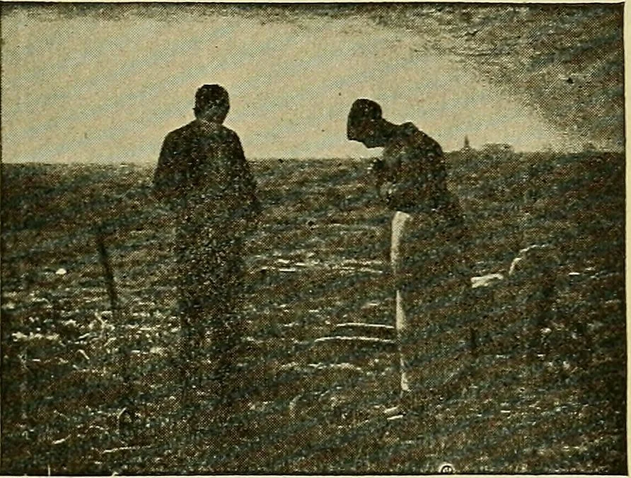 An illustration from Picture studies; studies of one hundred five of the world's famous pictures best adapted for use in the schools and for schoolroom decoration, 1917, leaf 20