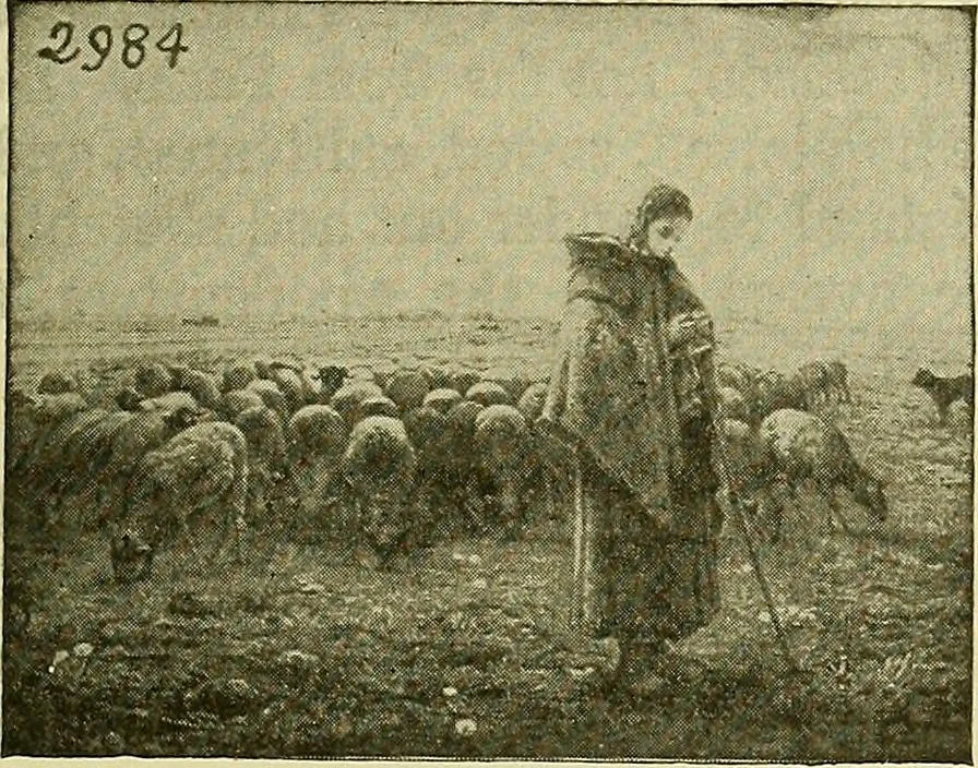 An illustration from Picture studies; studies of one hundred five of the world's famous pictures best adapted for use in the schools and for schoolroom decoration, 1917, leaf 208