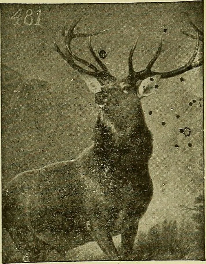 An illustration from Picture studies; studies of one hundred five of the world's famous pictures best adapted for use in the schools and for schoolroom decoration, 1917, leaf 272