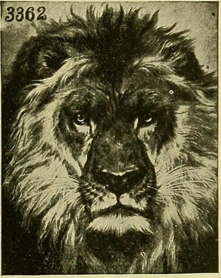 An illustration from Picture studies; studies of one hundred five of the world's famous pictures best adapted for use in the schools and for schoolroom decoration, 1917, leaf 28