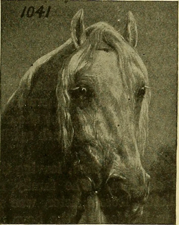 An illustration from Picture studies; studies of one hundred five of the world's famous pictures best adapted for use in the schools and for schoolroom decoration, 1917, leaf 288
