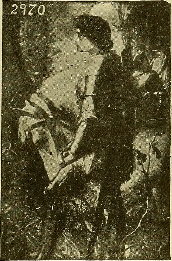 An illustration from Picture studies; studies of one hundred five of the world's famous pictures best adapted for use in the schools and for schoolroom decoration, 1917, leaf 352