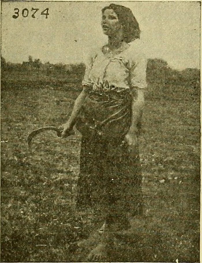 An illustration from Picture studies; studies of one hundred five of the world's famous pictures best adapted for use in the schools and for schoolroom decoration, 1917, leaf 356