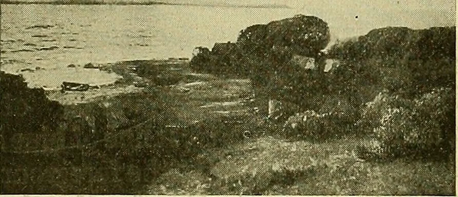 An illustration from Picture studies; studies of one hundred five of the world's famous pictures best adapted for use in the schools and for schoolroom decoration, 1917, leaf 380