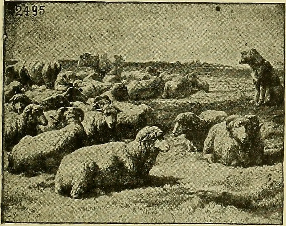 An illustration from Picture studies; studies of one hundred five of the world's famous pictures best adapted for use in the schools and for schoolroom decoration, 1917, leaf 64