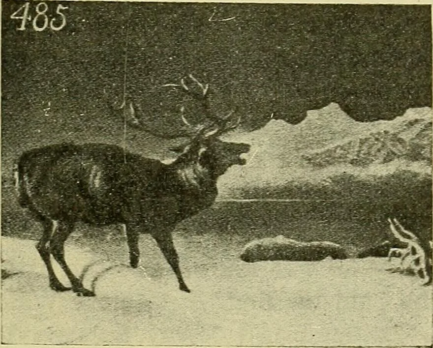An illustration from Picture studies; studies of one hundred five of the world's famous pictures best adapted for use in the schools and for schoolroom decoration, 1917, leaf 84