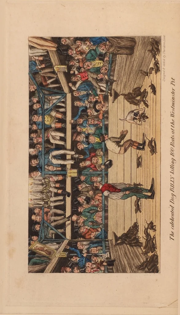 An illustration from Pierce Egan's sporting anecdotes, (original and selected) of the turf, the chase, the ring, and the stage; 1827, 1827, leaf 99