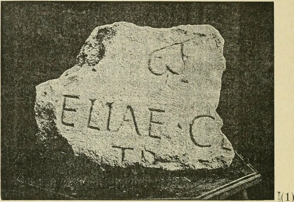 An illustration from Épigraphie romaine du Poitou [et] de la Saintonge, 1895, leaf 245
